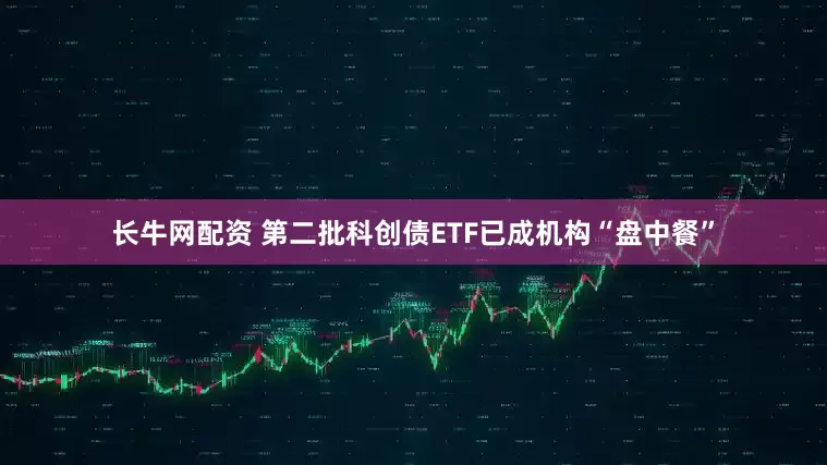 长牛网配资 第二批科创债ETF已成机构“盘中餐”